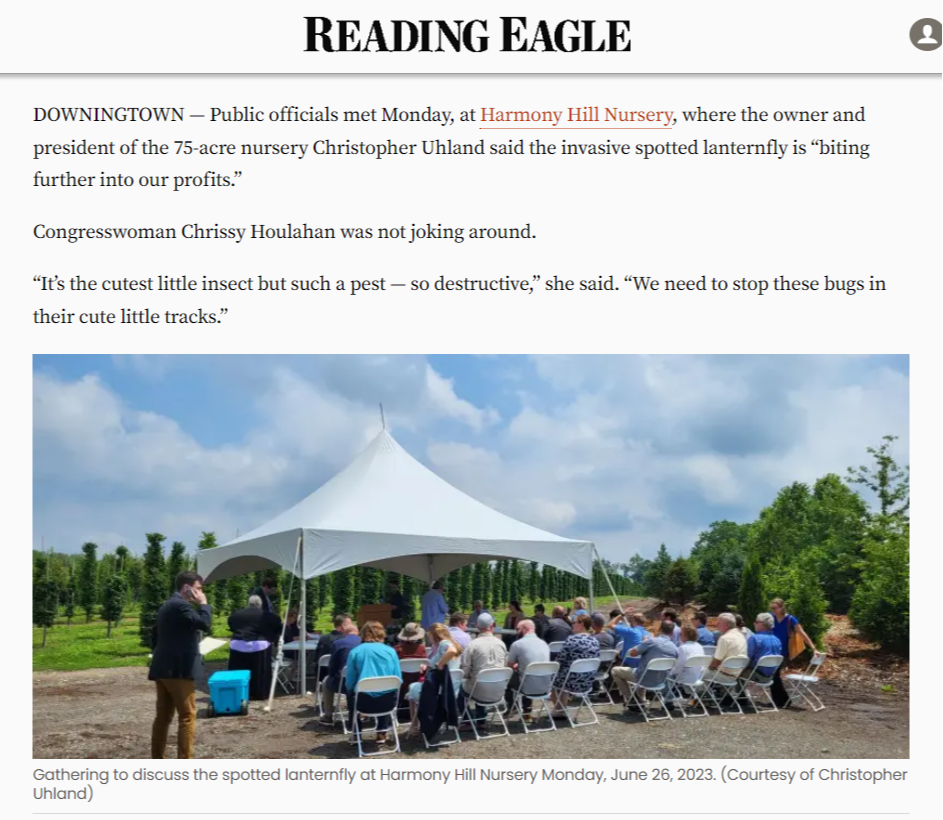 Reading Eagle Centered